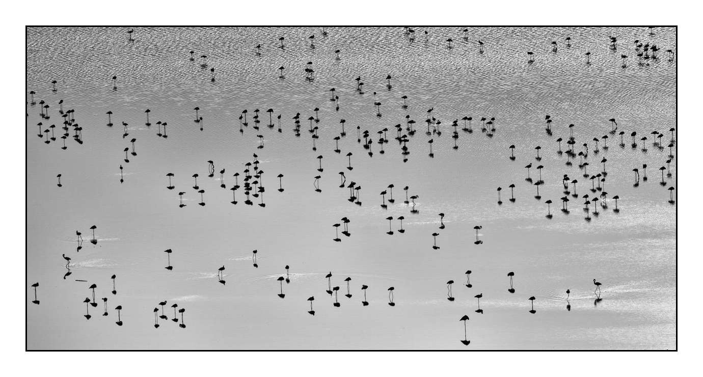 nuances-de-noirs-et-de-blancs/015-notes-de-musique-sur-l-eau/fr/03-170910MAGANI0464B