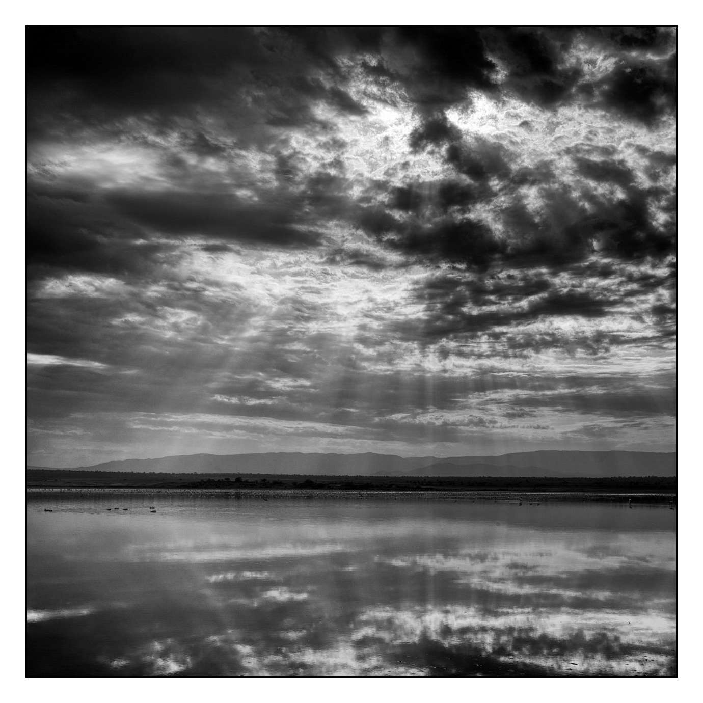 nuances-de-noirs-et-de-blancs/016-tourmente/fr/02-170910MAGPAY0076B