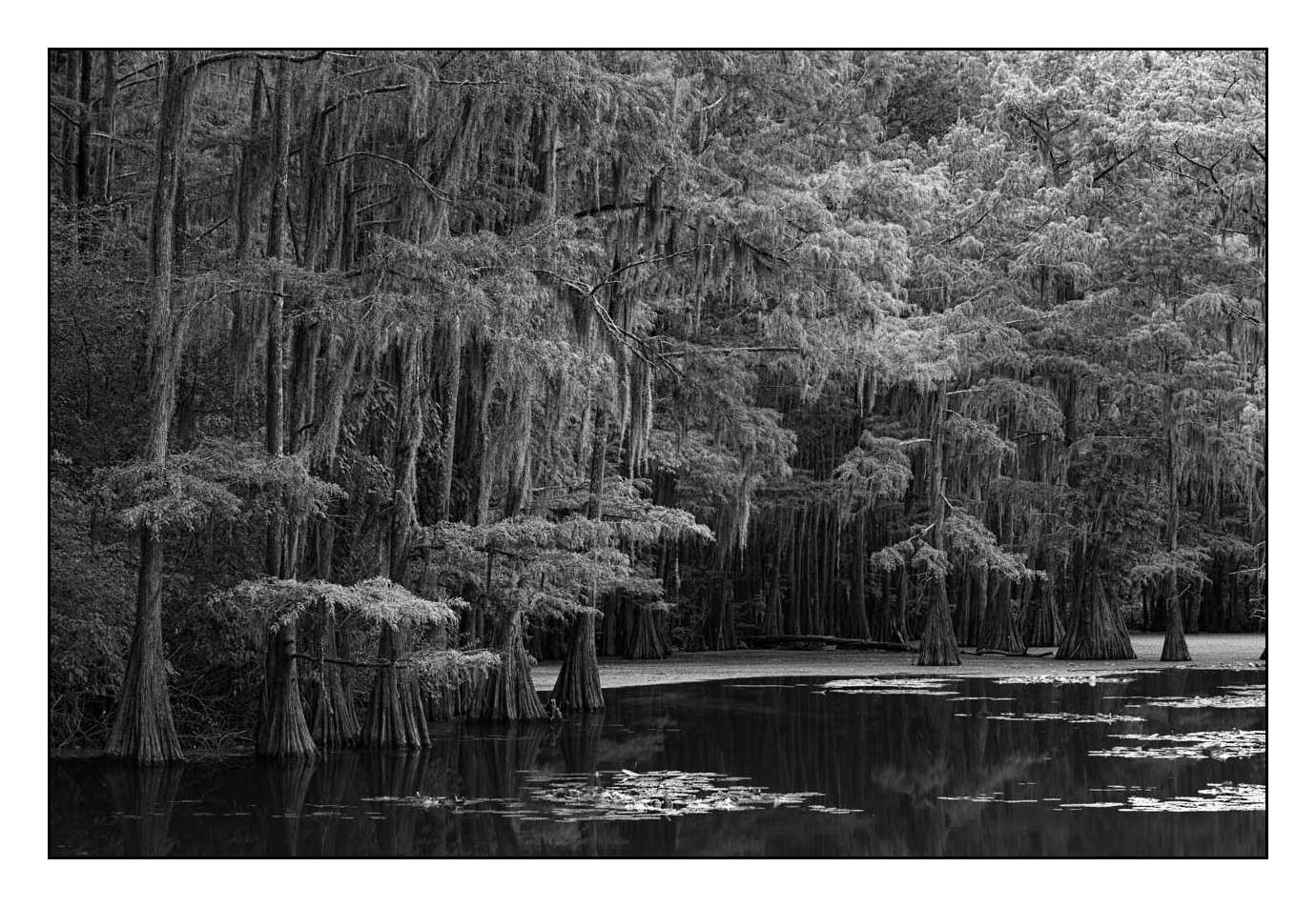 nuances-de-noirs-et-de-blancs/029-merveilles-naturelles-du-texas/fr/10-170827CADLAK0010B