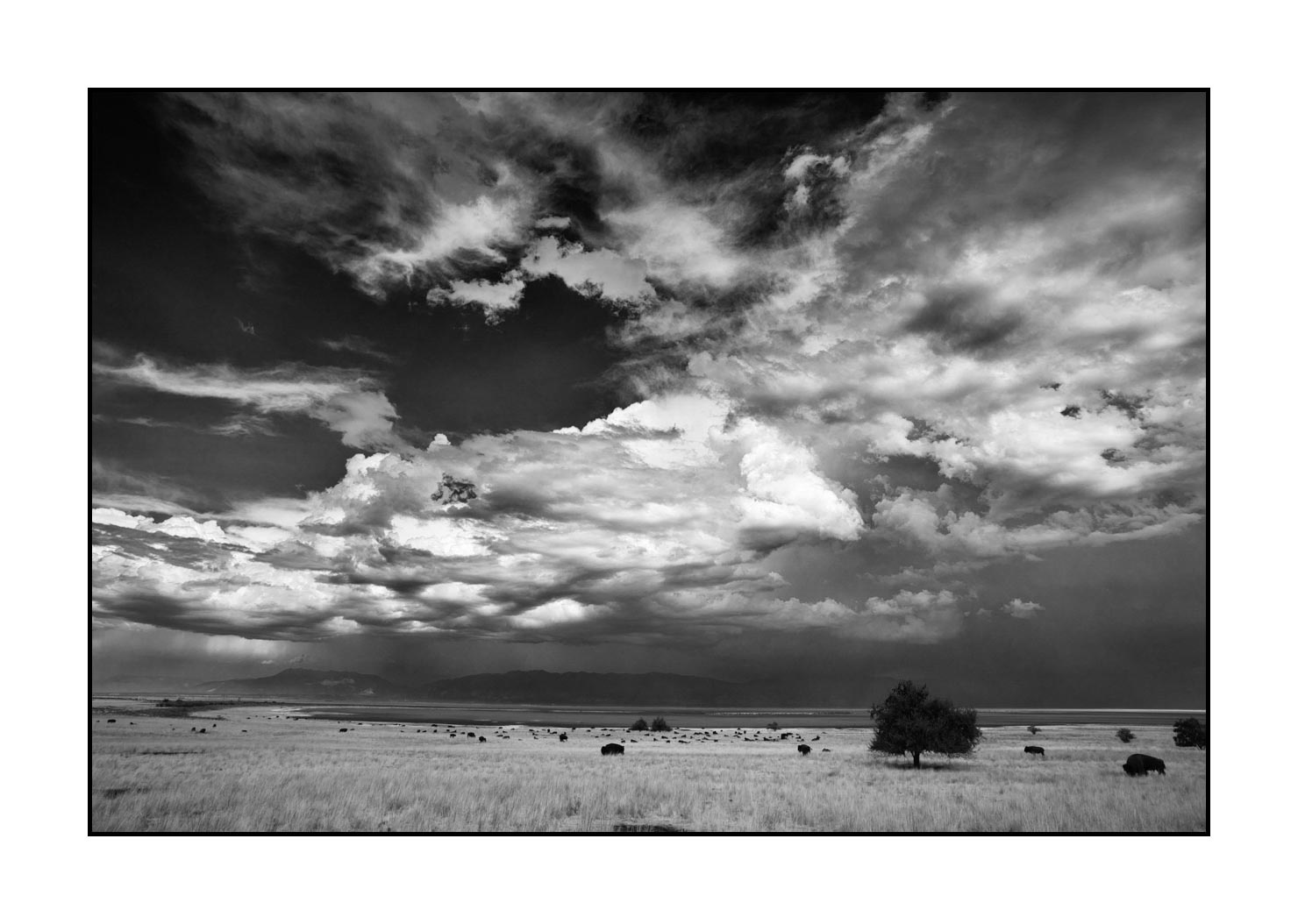 nuances-de-noirs-et-de-blancs/038-merveilles-naturelles-de-antelop-island/fr/01-merveilles-naturelles-antelope-island-noir-et-blanc-180822ANTLAN0039B