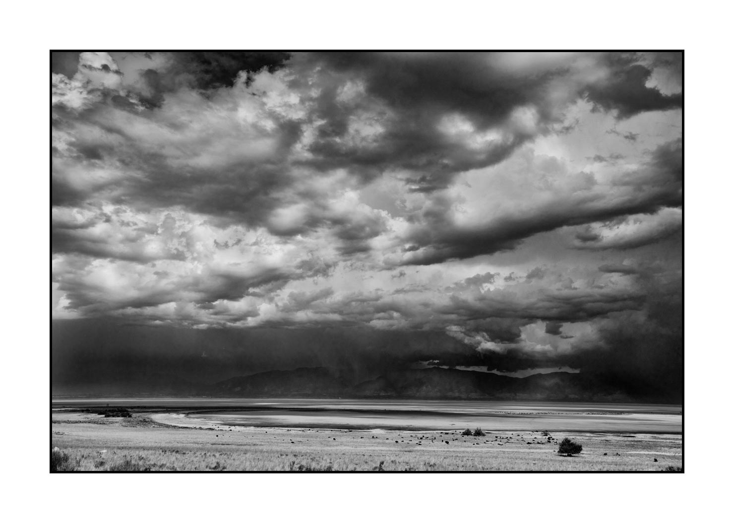 nuances-de-noirs-et-de-blancs/038-merveilles-naturelles-de-antelop-island/fr/02-merveilles-naturelles-antelope-island-noir-et-blanc-180822ANTLAN0219B