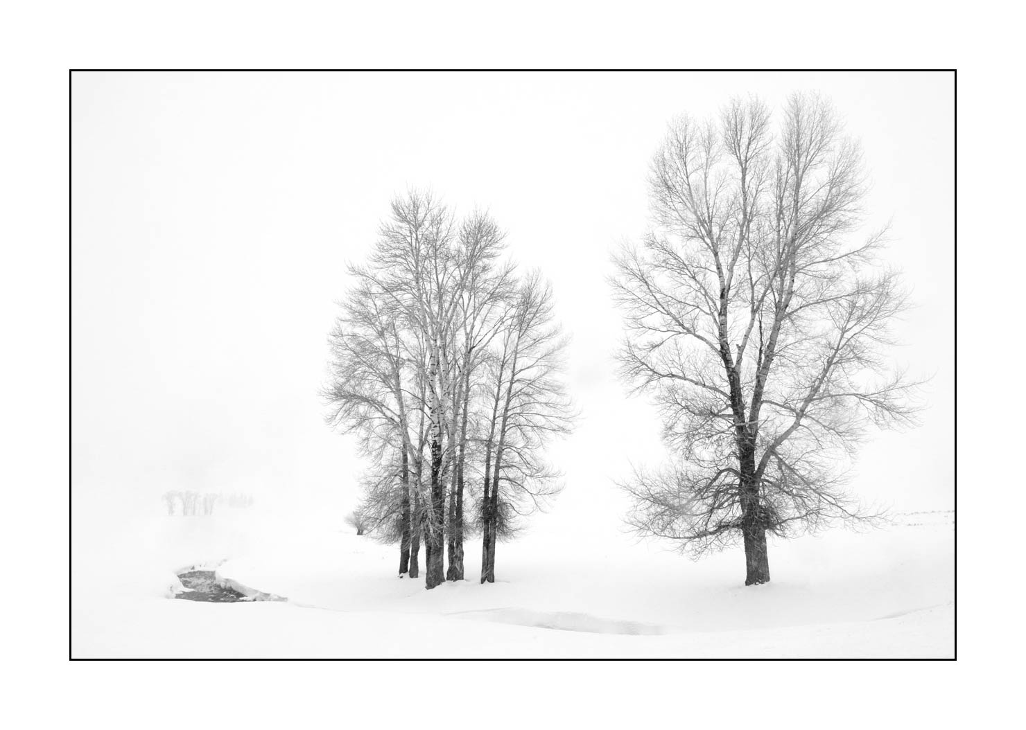 nuances-de-noirs-et-de-blancs/041-merveilles-naturelles-yellowstone-en-hiver/fr/03-paysage-enneige-yellowstone-noir-et-blanc-190127YELLAN0077B