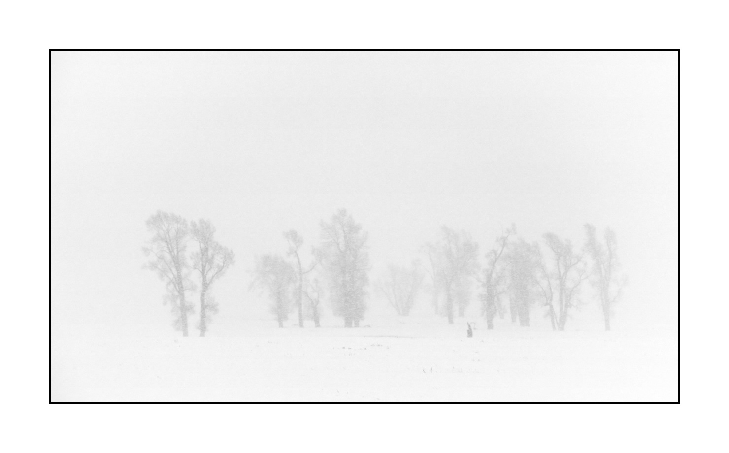 nuances-de-noirs-et-de-blancs/041-merveilles-naturelles-yellowstone-en-hiver/fr/07-paysage-enneige-yellowstone-noir-et-blanc-190127YELLAN0131B
