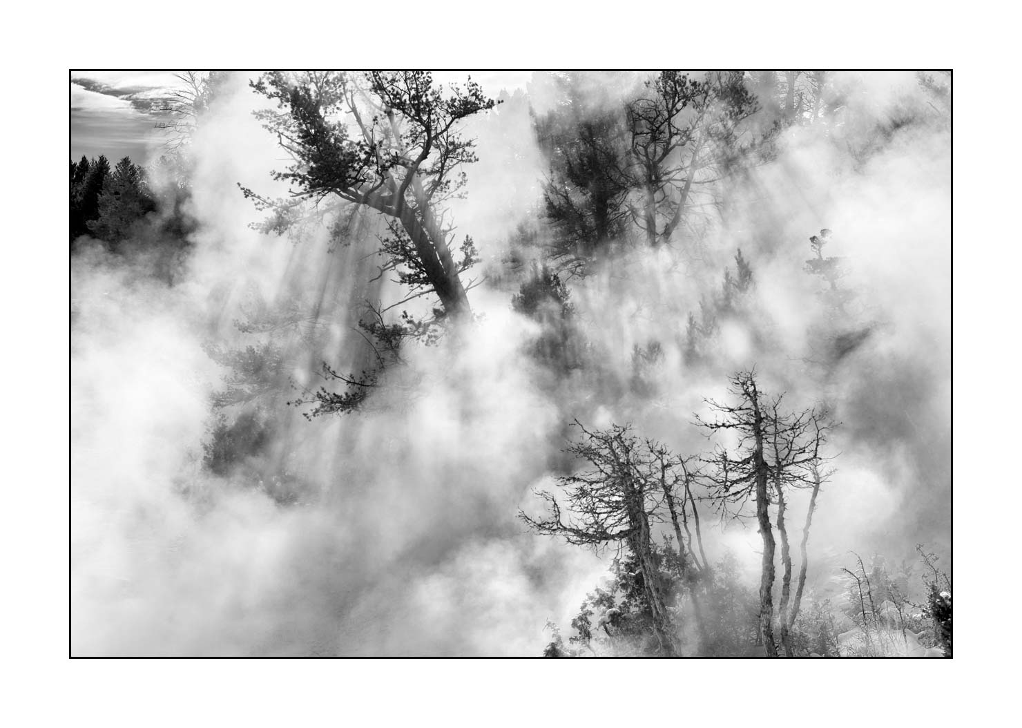 nuances-de-noirs-et-de-blancs/041-merveilles-naturelles-yellowstone-en-hiver/fr/09-paysage-enneige-yellowstone-noir-et-blanc-190127YELLAN0208B