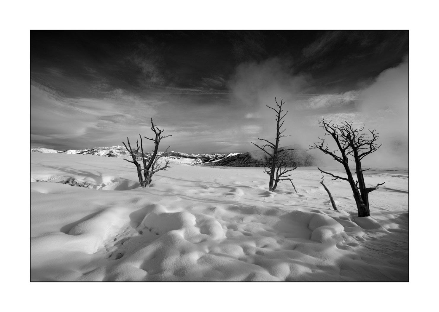 nuances-de-noirs-et-de-blancs/041-merveilles-naturelles-yellowstone-en-hiver/fr/11-paysage-enneige-yellowstone-noir-et-blanc-190127YELLAN0243B