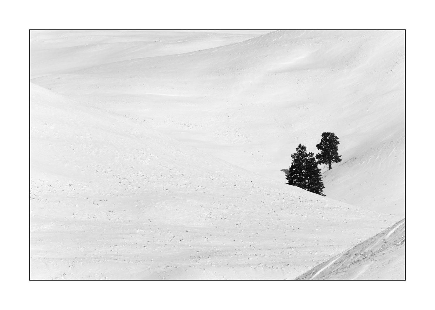 nuances-de-noirs-et-de-blancs/041-merveilles-naturelles-yellowstone-en-hiver/fr/12-paysage-enneige-yellowstone-noir-et-blanc-190127YELLAN0265B