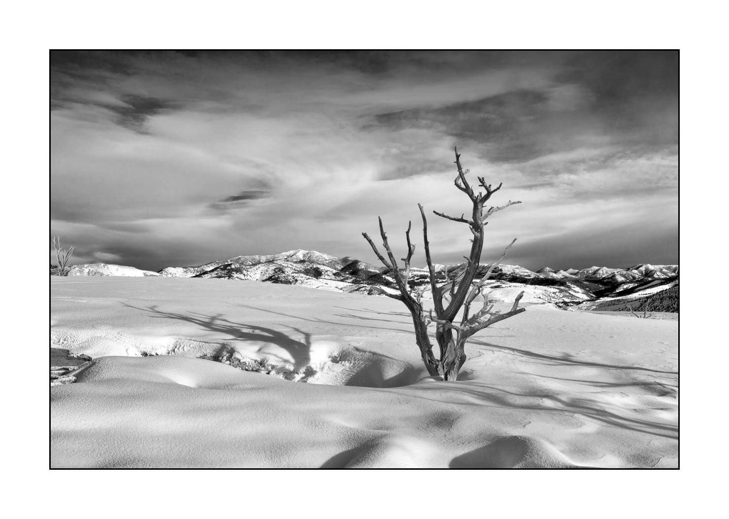 nuances-de-noirs-et-de-blancs/041-merveilles-naturelles-yellowstone-en-hiver/fr/14-paysage-enneige-yellowstone-noir-et-blanc-190127YELLAN0308B