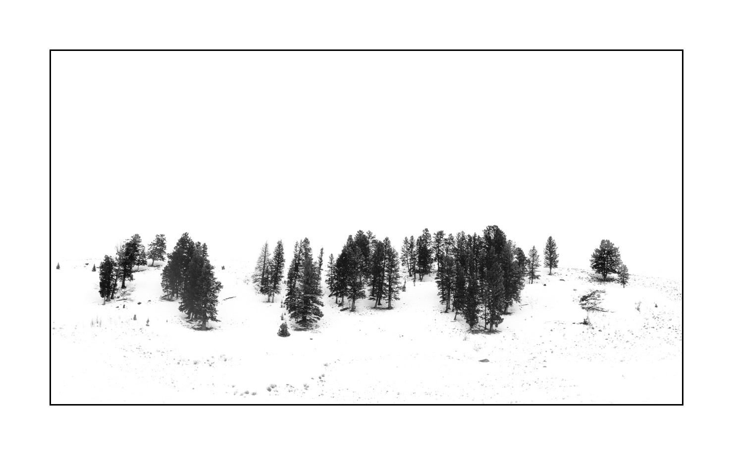 nuances-de-noirs-et-de-blancs/041-merveilles-naturelles-yellowstone-en-hiver/fr/15-paysage-enneige-yellowstone-noir-et-blanc-190127YELLAN0320B