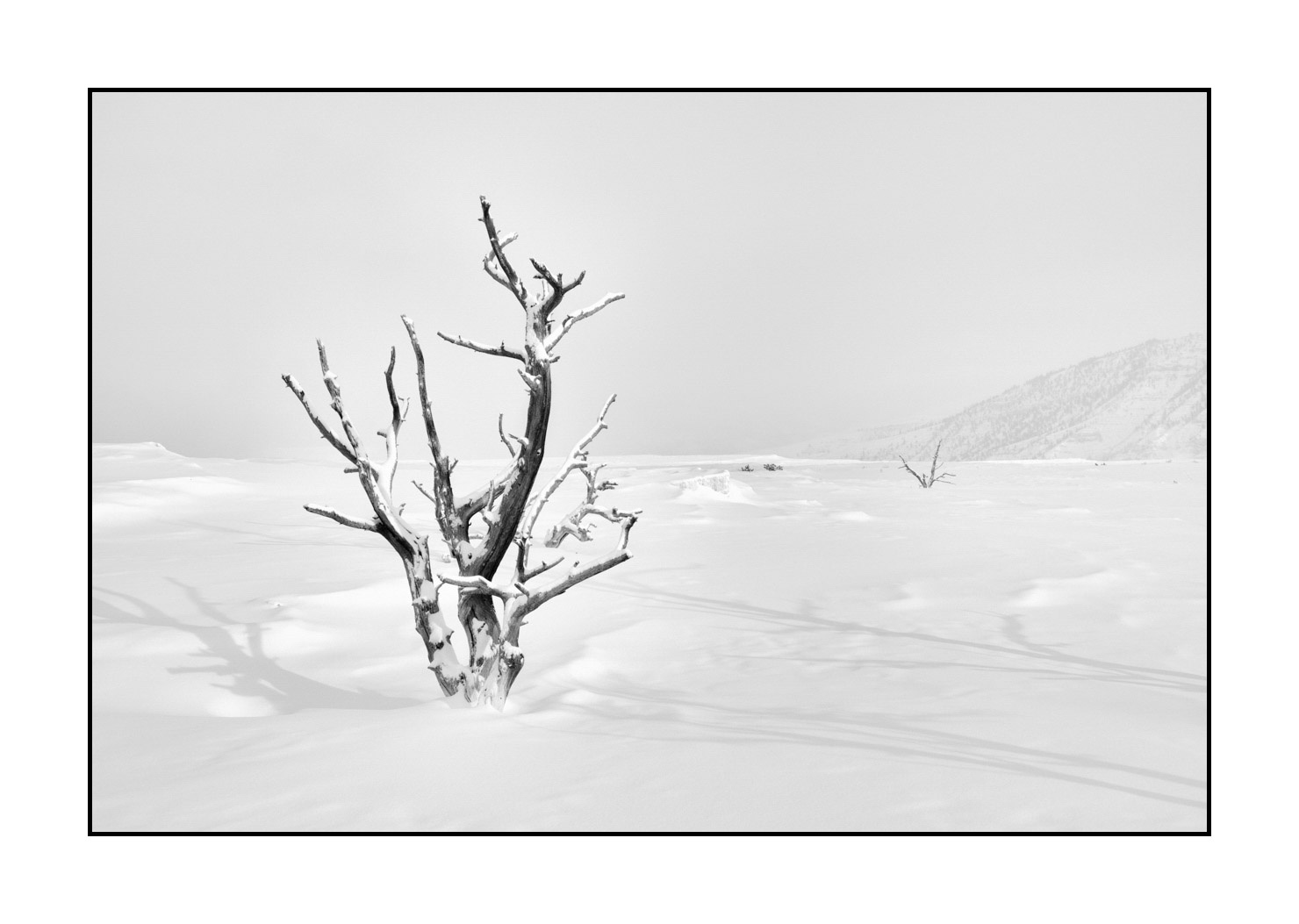 nuances-de-noirs-et-de-blancs/041-merveilles-naturelles-yellowstone-en-hiver/fr/22-paysage-enneige-yellowstone-noir-et-blanc-220104YELLAN0026B