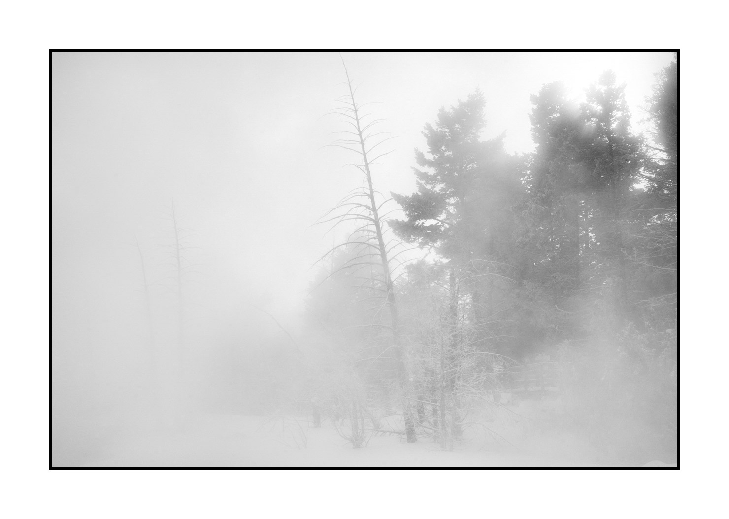 nuances-de-noirs-et-de-blancs/041-merveilles-naturelles-yellowstone-en-hiver/fr/23-paysage-enneige-yellowstone-noir-et-blanc-220104YELLAN0034B