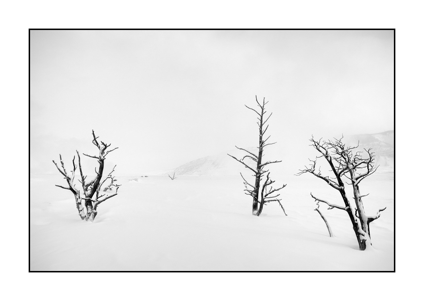 nuances-de-noirs-et-de-blancs/041-merveilles-naturelles-yellowstone-en-hiver/fr/24-paysage-enneige-yellowstone-noir-et-blanc-220104YELLAN0031B