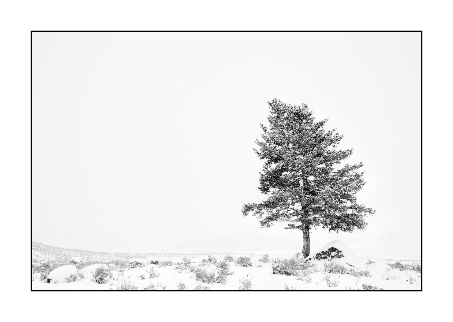 nuances-de-noirs-et-de-blancs/041-merveilles-naturelles-yellowstone-en-hiver/fr/25-paysage-enneige-yellowstone-noir-et-blanc-220104YELLAN0054B