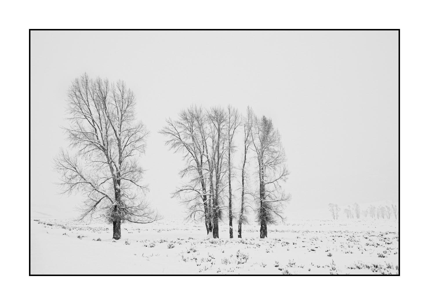 nuances-de-noirs-et-de-blancs/041-merveilles-naturelles-yellowstone-en-hiver/fr/26-paysage-enneige-yellowstone-noir-et-blanc-220104YELLAN0063B