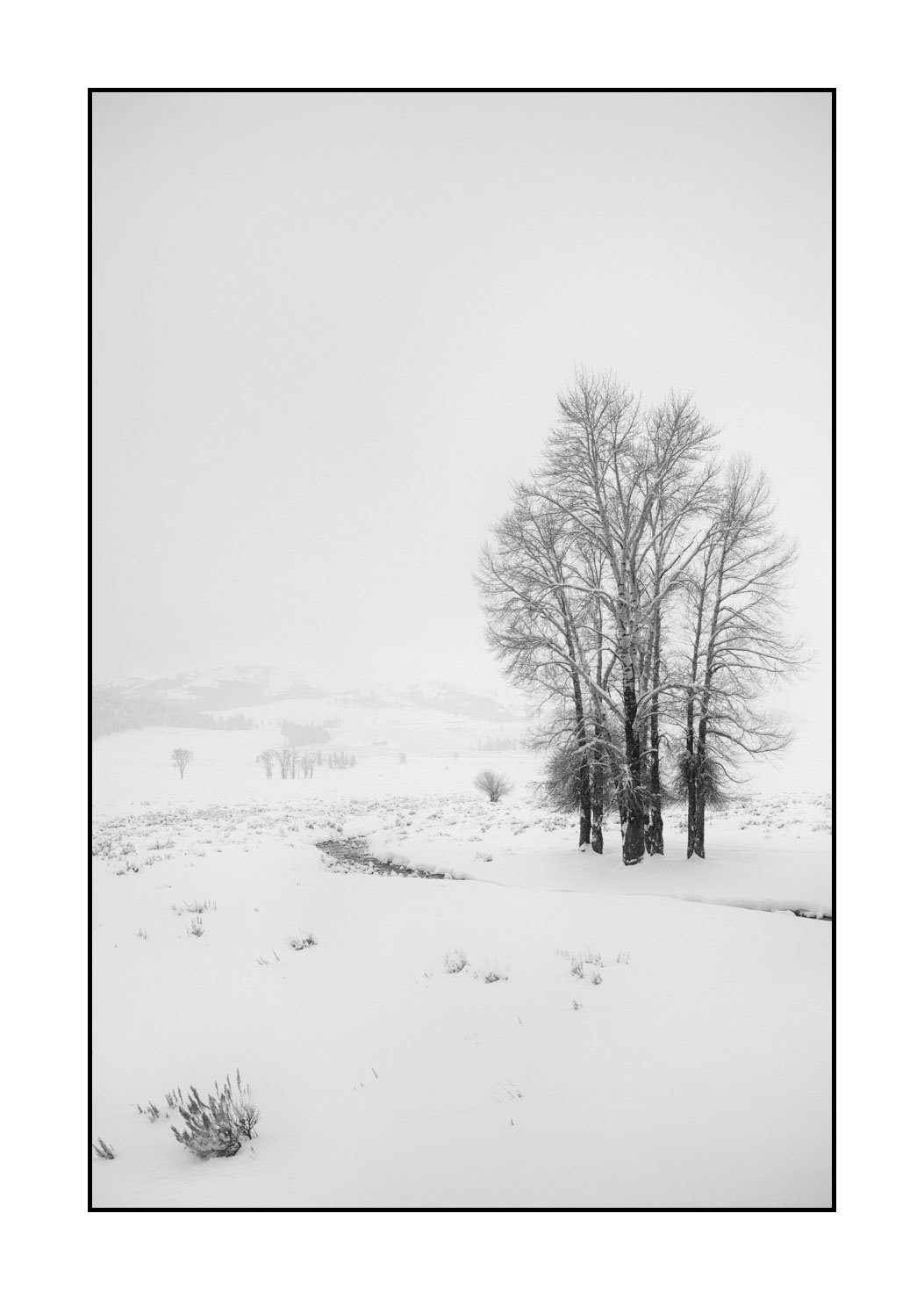 nuances-de-noirs-et-de-blancs/041-merveilles-naturelles-yellowstone-en-hiver/fr/28-paysage-enneige-yellowstone-noir-et-blanc-220104YELLAN0078B