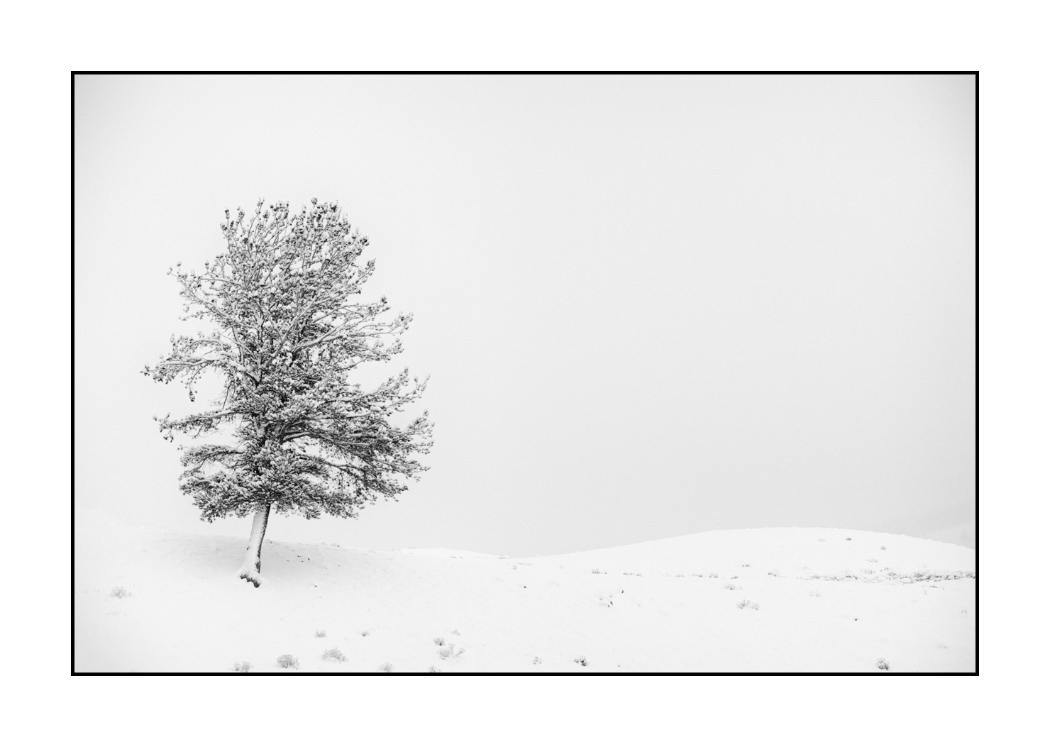 nuances-de-noirs-et-de-blancs/041-merveilles-naturelles-yellowstone-en-hiver/fr/30-paysage-enneige-yellowstone-noir-et-blanc-220104YELLAN0090B