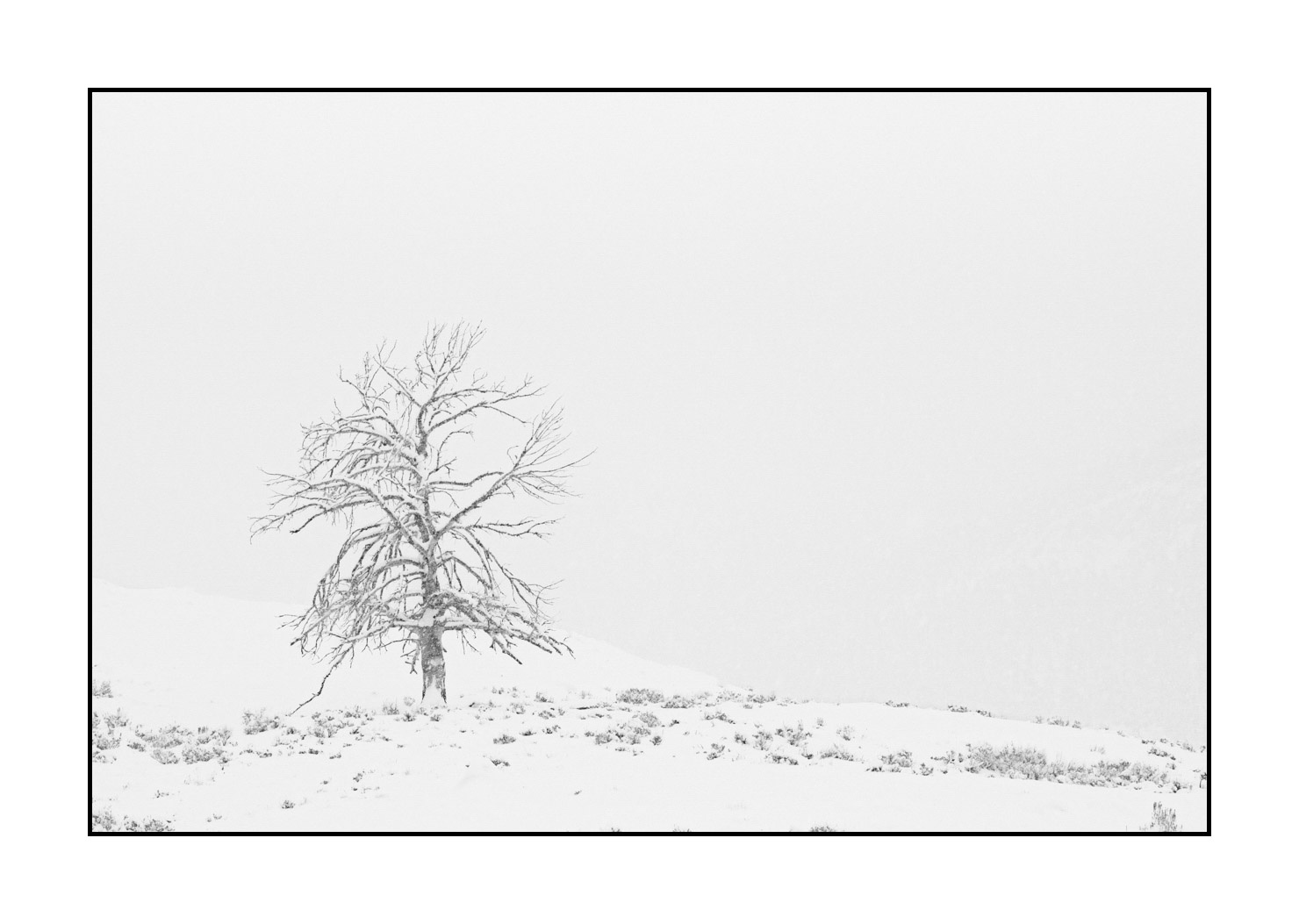 nuances-de-noirs-et-de-blancs/041-merveilles-naturelles-yellowstone-en-hiver/fr/31-paysage-enneige-yellowstone-noir-et-blanc-220104YELLAN0098B