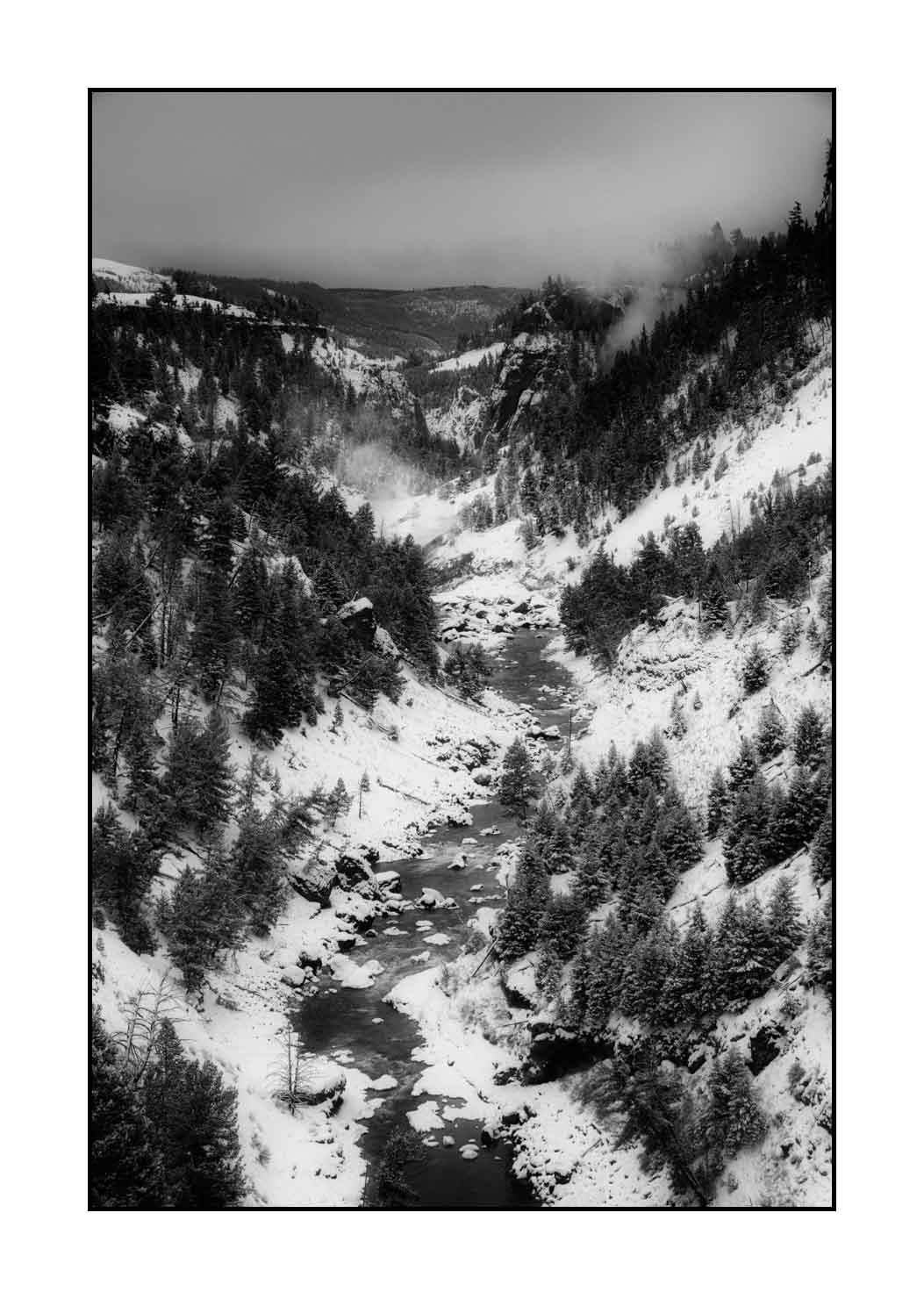 nuances-de-noirs-et-de-blancs/041-merveilles-naturelles-yellowstone-en-hiver/fr/33-paysage-enneige-yellowstone-noir-et-blanc-220104YELLAN0024B