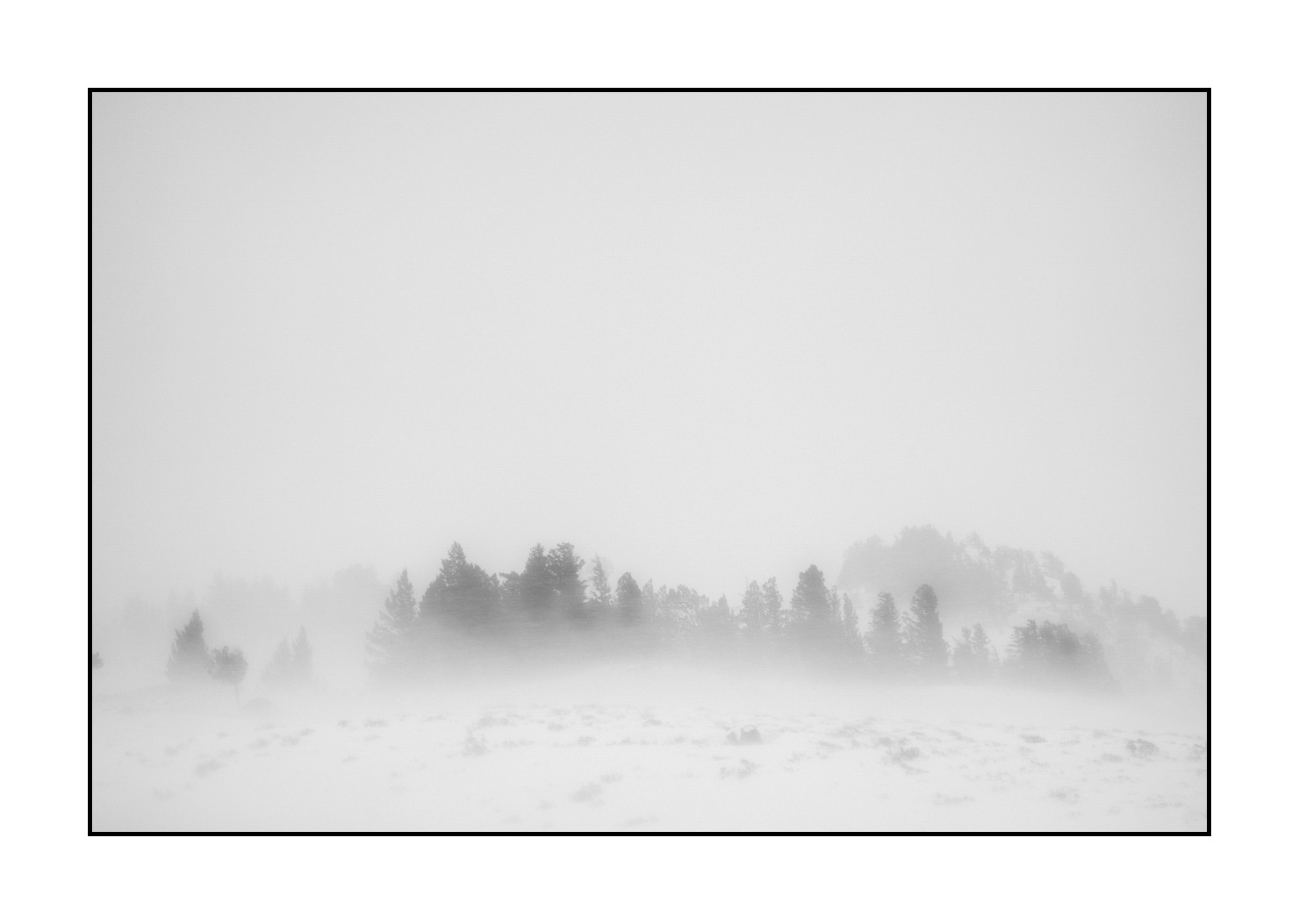nuances-de-noirs-et-de-blancs/041-merveilles-naturelles-yellowstone-en-hiver/fr/35-paysage-enneige-yellowstone-noir-et-blanc-220104YELLAN0107B