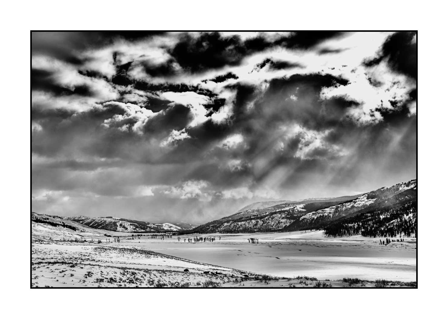 nuances-de-noirs-et-de-blancs/041-merveilles-naturelles-yellowstone-en-hiver/fr/38-paysage-enneige-yellowstone-noir-et-blanc-220104YELLAN0018B