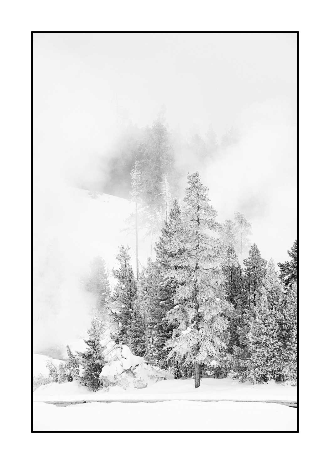 nuances-de-noirs-et-de-blancs/041-merveilles-naturelles-yellowstone-en-hiver/fr/47-paysage-enneige-yellowstone-noir-et-blanc-220104YELLAN0237B