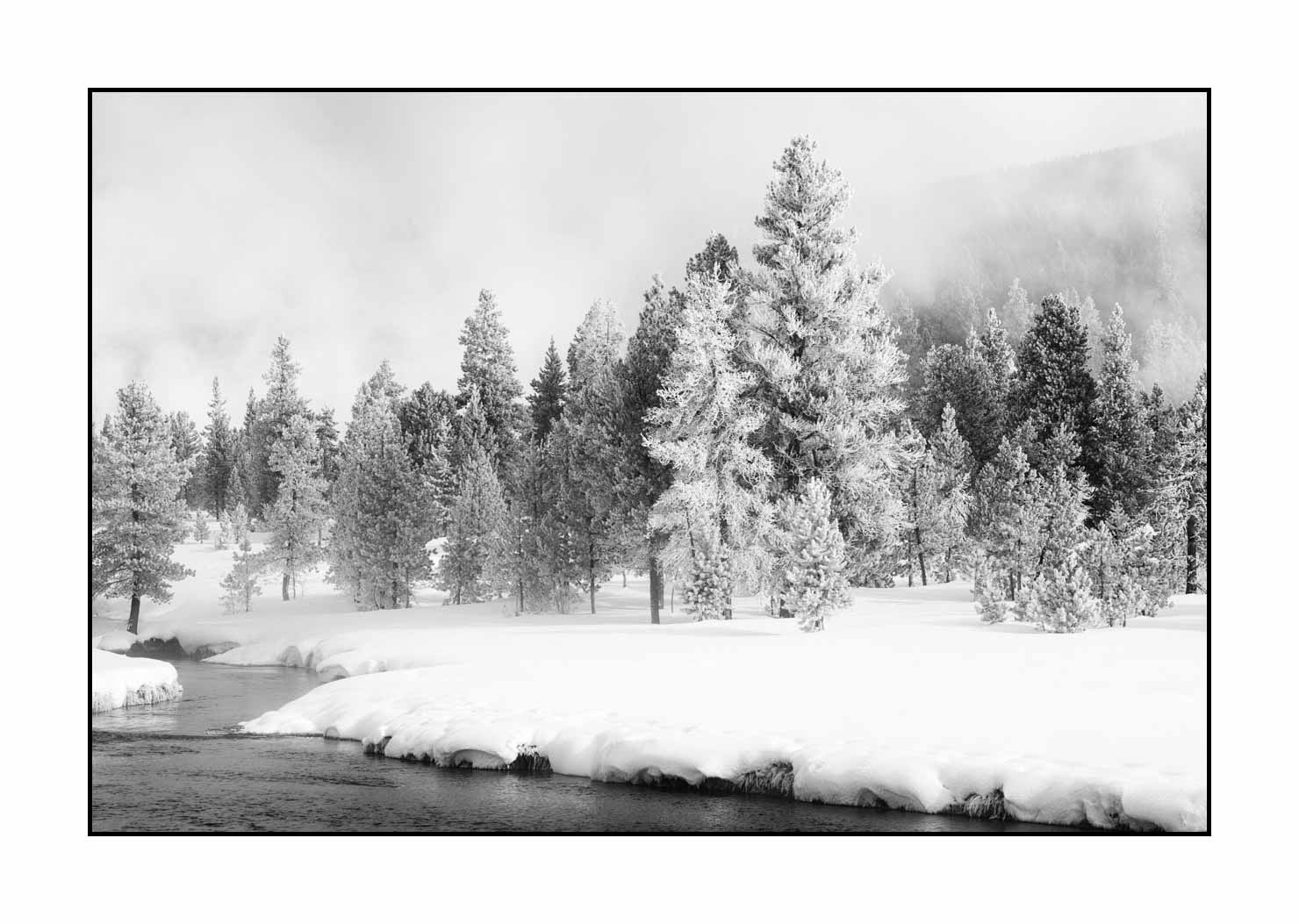 nuances-de-noirs-et-de-blancs/041-merveilles-naturelles-yellowstone-en-hiver/fr/48-paysage-enneige-yellowstone-noir-et-blanc-220104YELLAN0251B