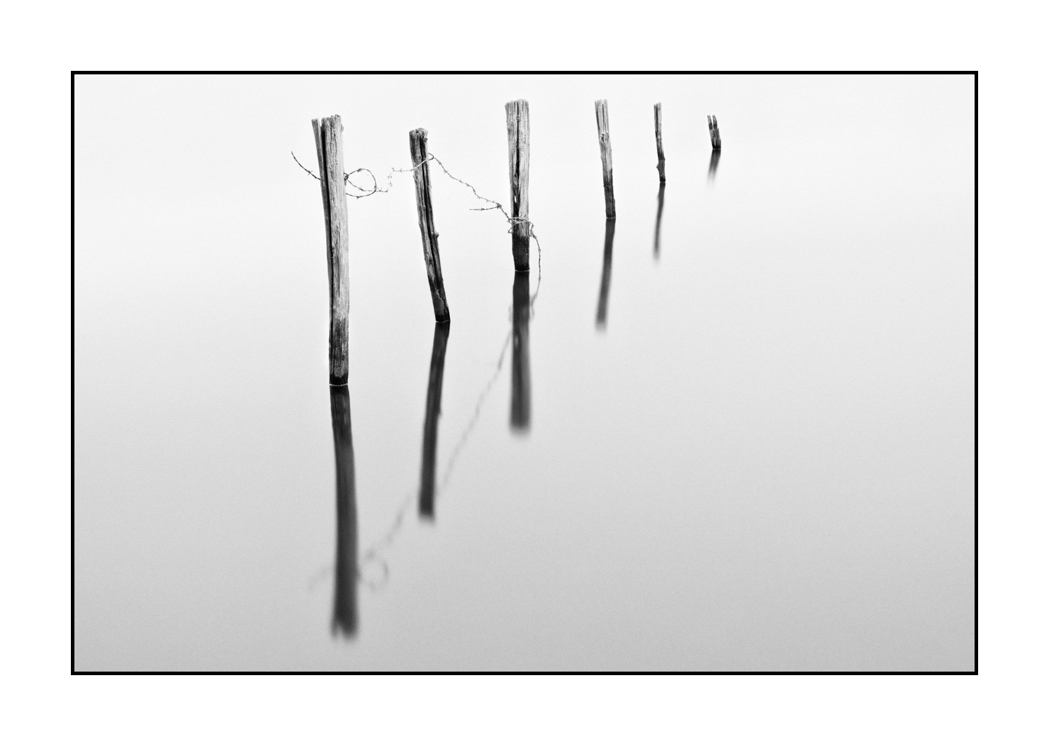 nuances-de-noirs-et-de-blancs/043-seuls/en/03-stakes-flooded-meadow-high-key-in-black-and-white-190702GUICON0068B