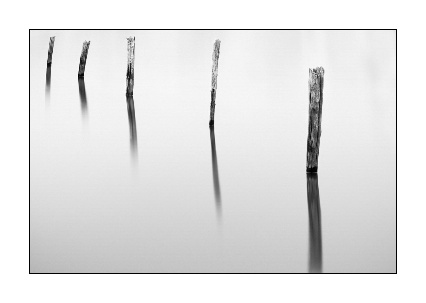 nuances-de-noirs-et-de-blancs/043-seuls/fr/02-piquets-prairie-inondee-high-key-en-noir-et-blanc-190702GUICON0073B