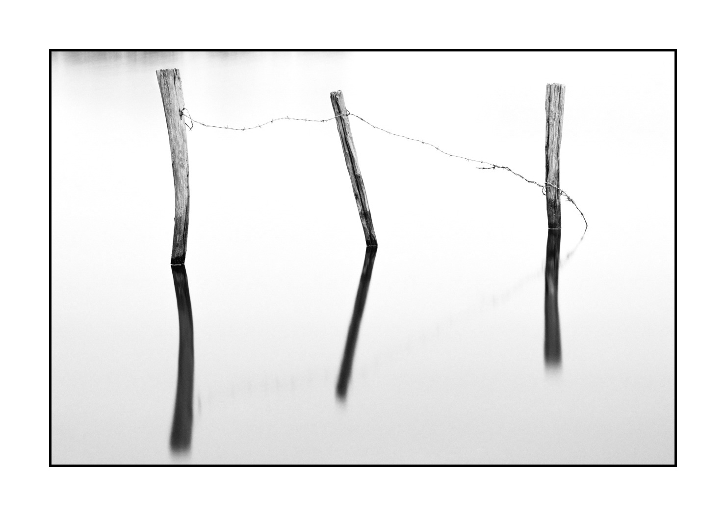 nuances-de-noirs-et-de-blancs/043-seuls/fr/04-piquets-prairie-inondee-high-key-en-noir-et-blanc-190702GUICON0069B
