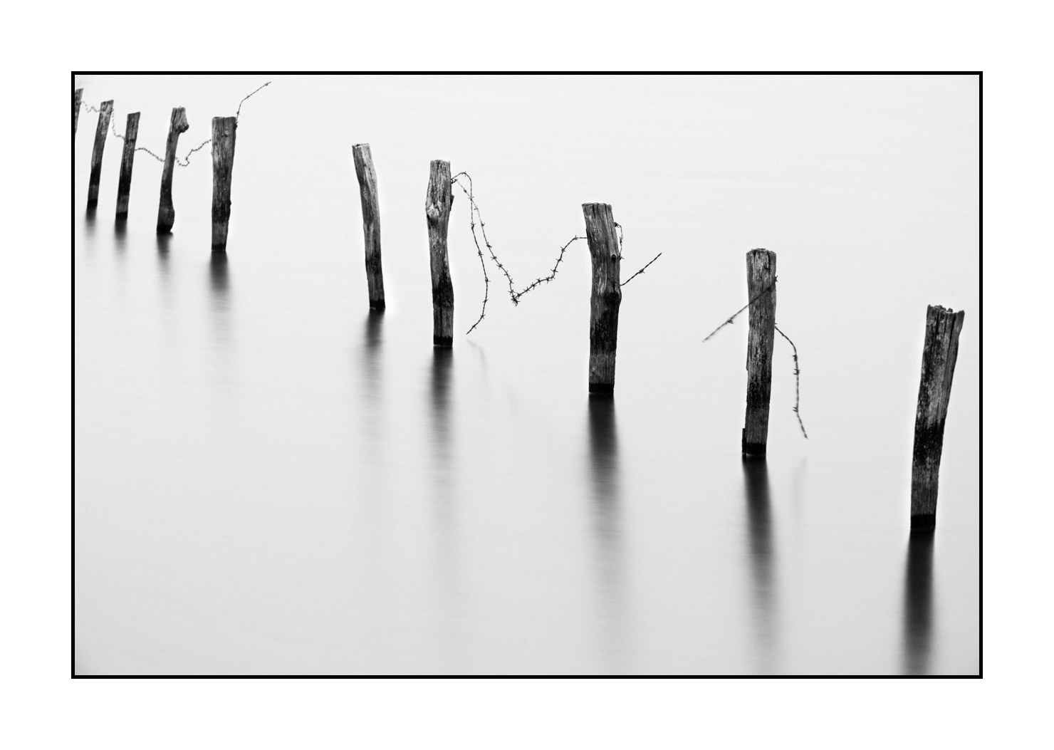 nuances-de-noirs-et-de-blancs/043-seuls/fr/05-piquets-prairie-inondee-high-key-en-noir-et-blanc-190702GUICON0081B