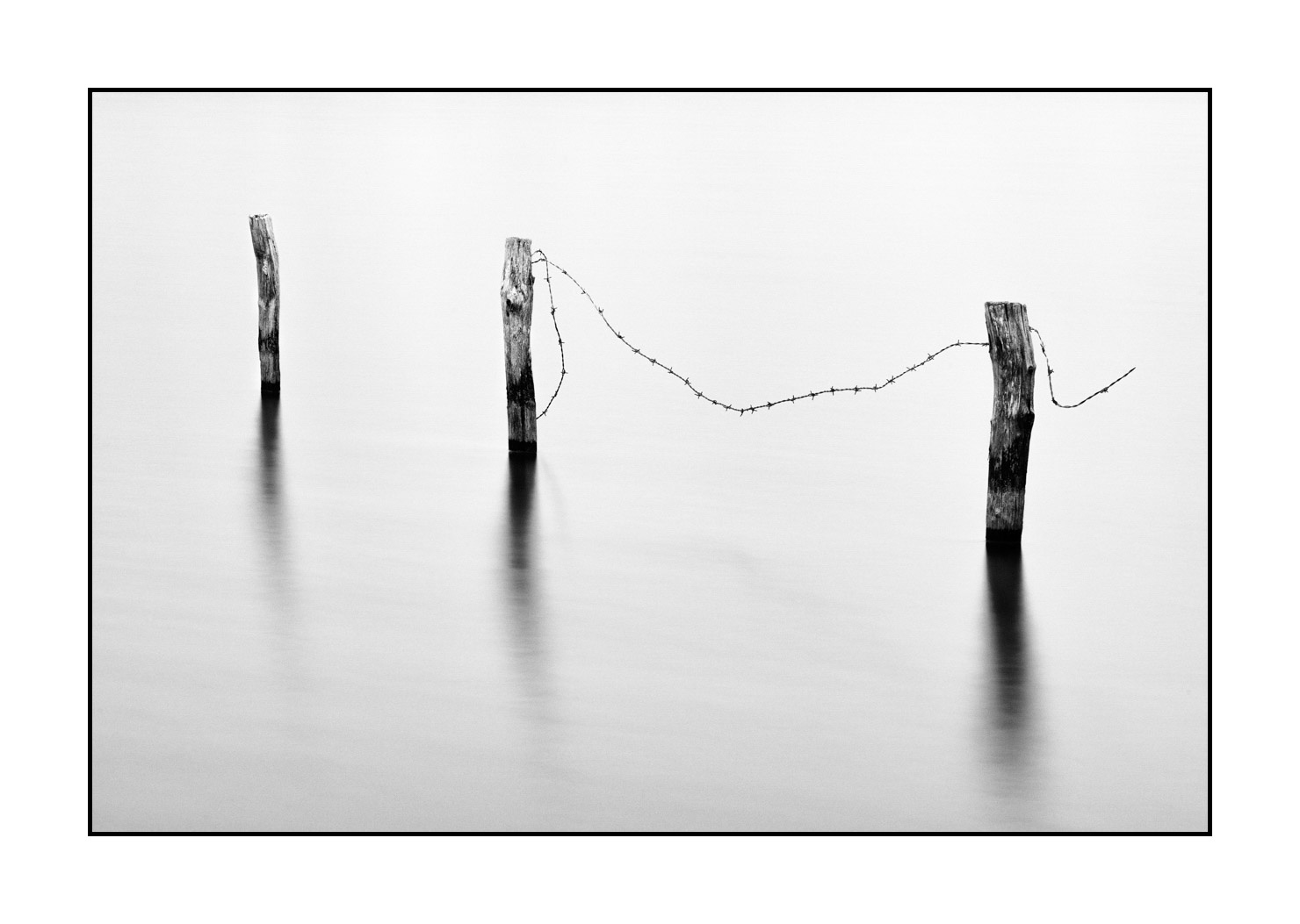 nuances-de-noirs-et-de-blancs/043-seuls/fr/06-piquets-prairie-inondee-high-key-en-noir-et-blanc-190702GUICON0084B