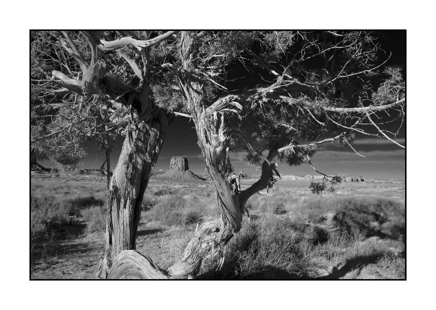 nuances-de-noirs-et-de-blancs/052-merveilles-monument-valley-noir-et-blanc/fr/06-monument-valley-noir-et-blanc-200130UTAMON0031B