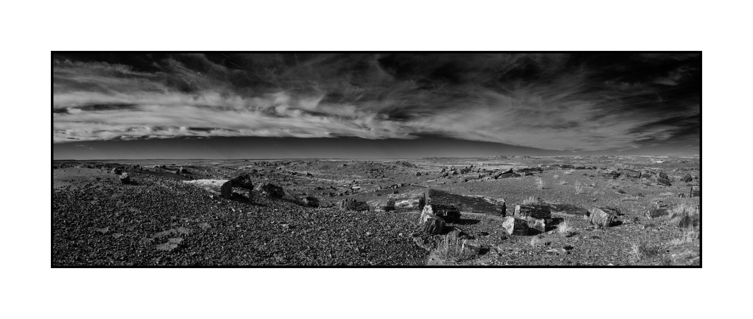 nuances-de-noirs-et-de-blancs/055-merveilles-naturelles-de-petrified-forest/en/01-petrified-forest-arizona-in-black-and-white-200206ARIPETPAN01B