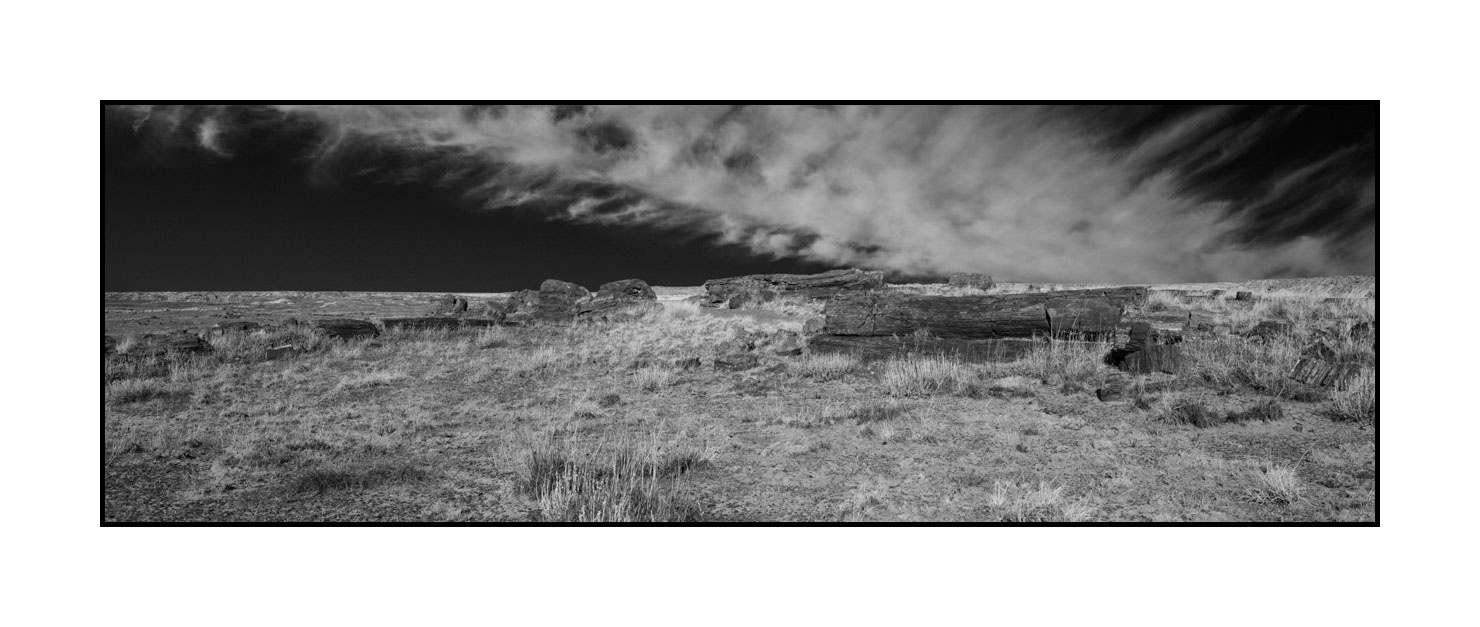 nuances-de-noirs-et-de-blancs/055-merveilles-naturelles-de-petrified-forest/en/02-petrified-forest-arizona-in-black-and-white-200206ARIPETPAN25B