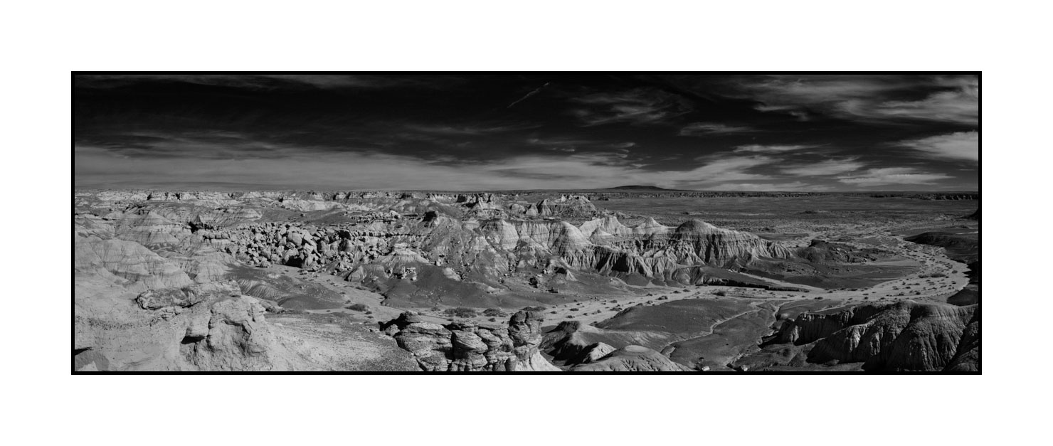 nuances-de-noirs-et-de-blancs/055-merveilles-naturelles-de-petrified-forest/en/03-petrified-forest-arizona-in-black-and-white-200206ARIPETPAN34B