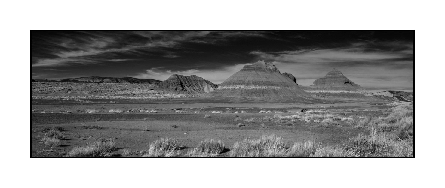nuances-de-noirs-et-de-blancs/055-merveilles-naturelles-de-petrified-forest/en/04-petrified-forest-arizona-in-black-and-white-200206ARIPETPAN36B