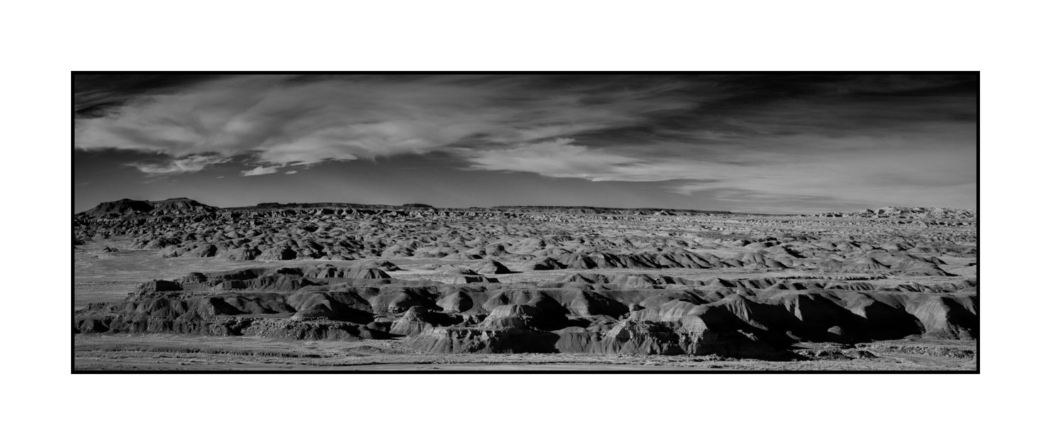 nuances-de-noirs-et-de-blancs/055-merveilles-naturelles-de-petrified-forest/en/06-petrified-forest-arizona-in-black-and-white-200206ARIPETPAN45B