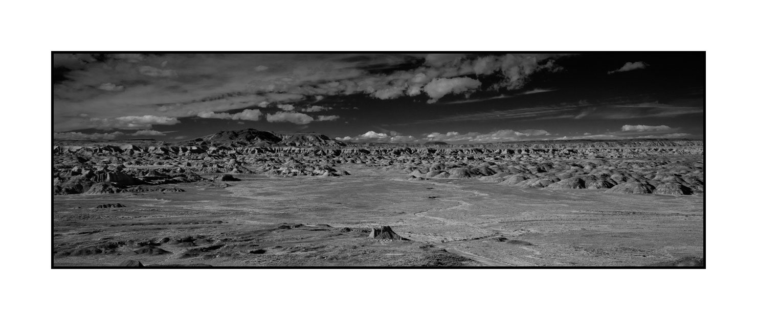 nuances-de-noirs-et-de-blancs/055-merveilles-naturelles-de-petrified-forest/fr/05-petrified-forest-arizona-en-noir-et-blanc-200206ARIPETPAN43B