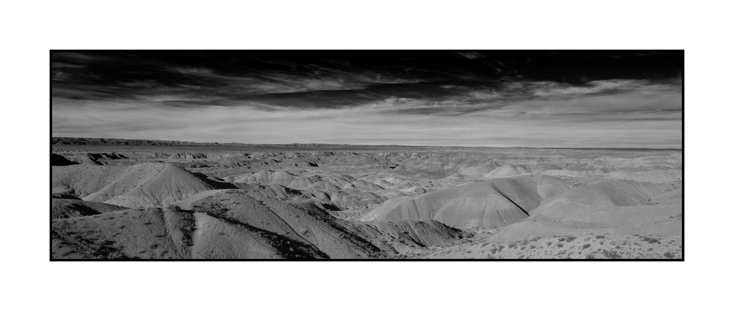 nuances-de-noirs-et-de-blancs/055-merveilles-naturelles-de-petrified-forest/fr/07-petrified-forest-en-noir-et-blanc-200206ARIPETPAN46B