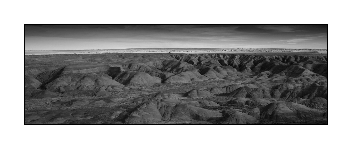 nuances-de-noirs-et-de-blancs/055-merveilles-naturelles-de-petrified-forest/fr/08-petrified-forest-en-noir-et-blanc-200206ARIPETPAN48B