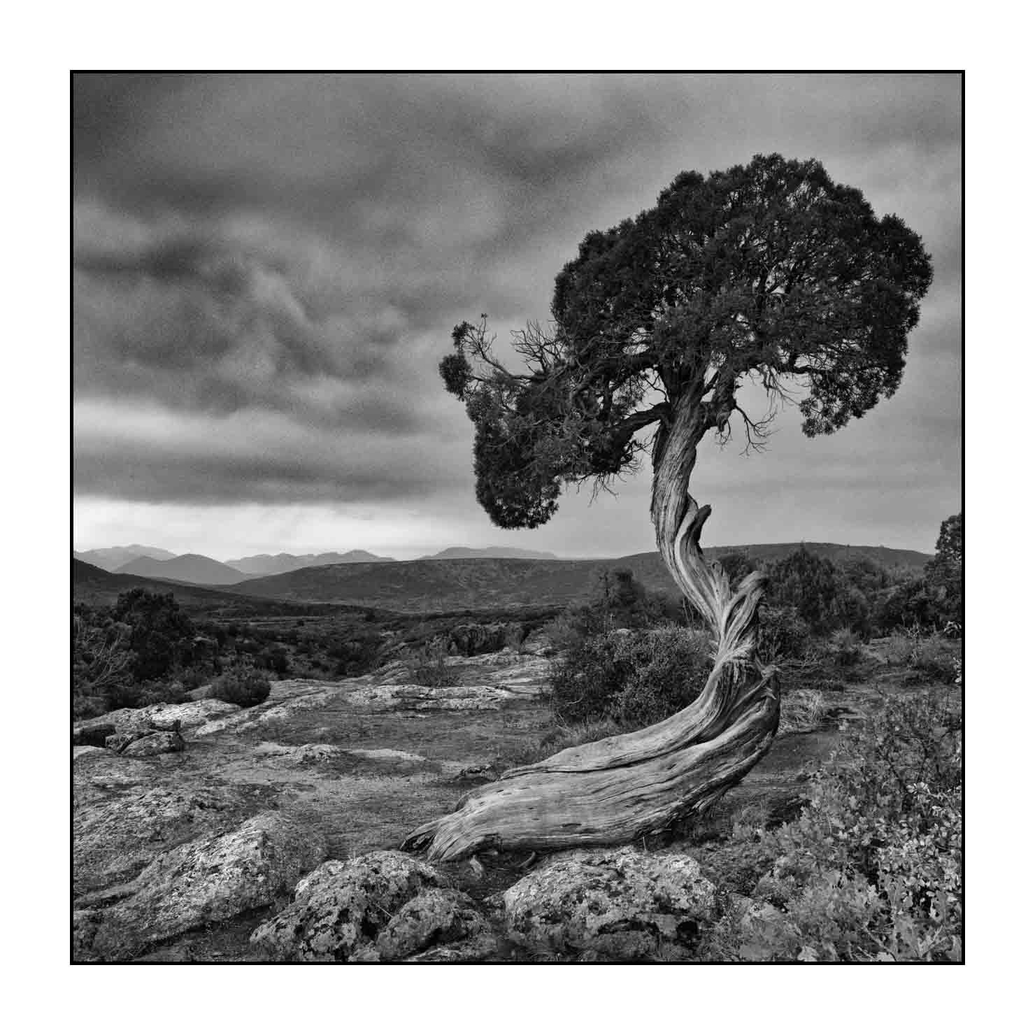 nuances-de-noirs-et-de-blancs/056-merveilles-black-canyon/en/20-landscape-of-black-canyon-of-the-gunnison-200828BLACAN0212B