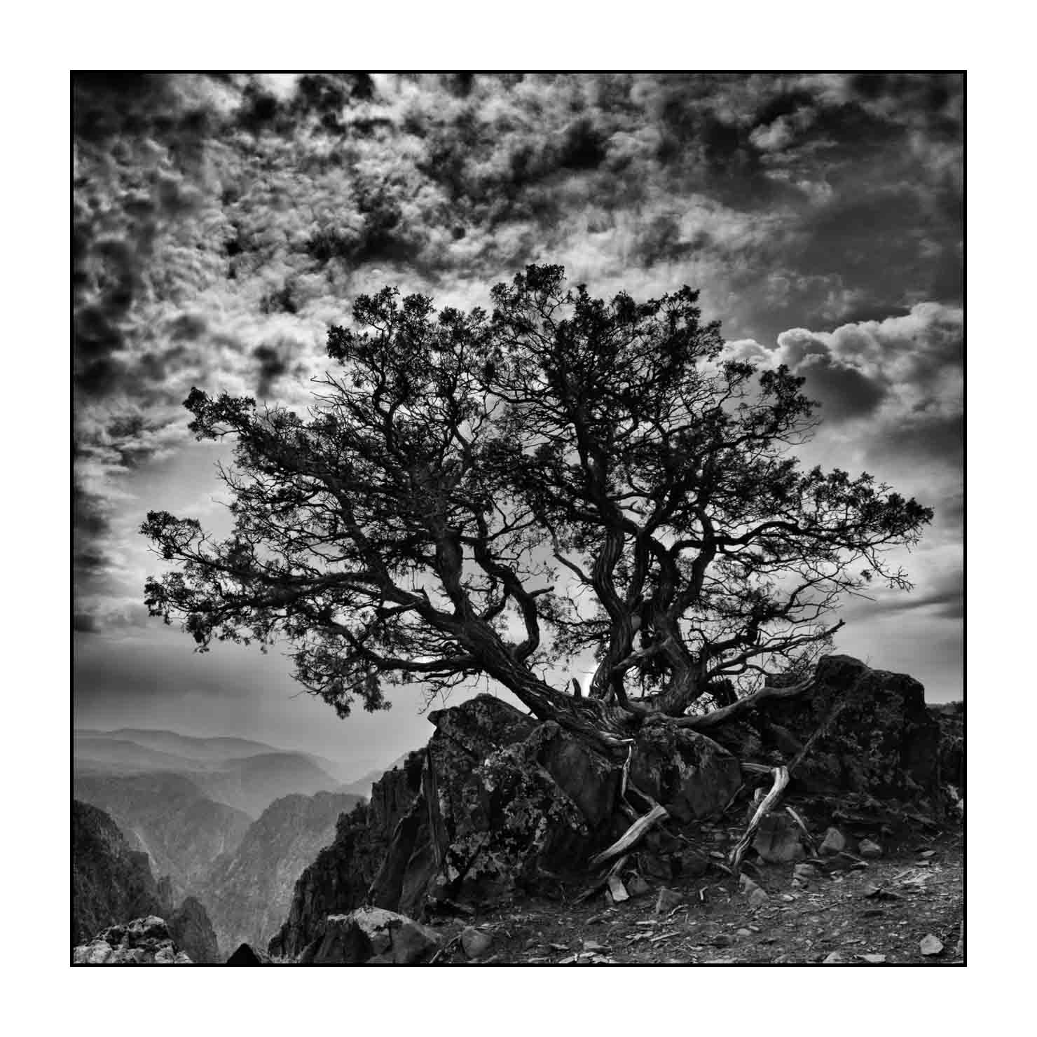 nuances-de-noirs-et-de-blancs/056-merveilles-black-canyon/fr/19-paysage-de-black-canyon-of-the-gunnison-200828BLACAN0187B