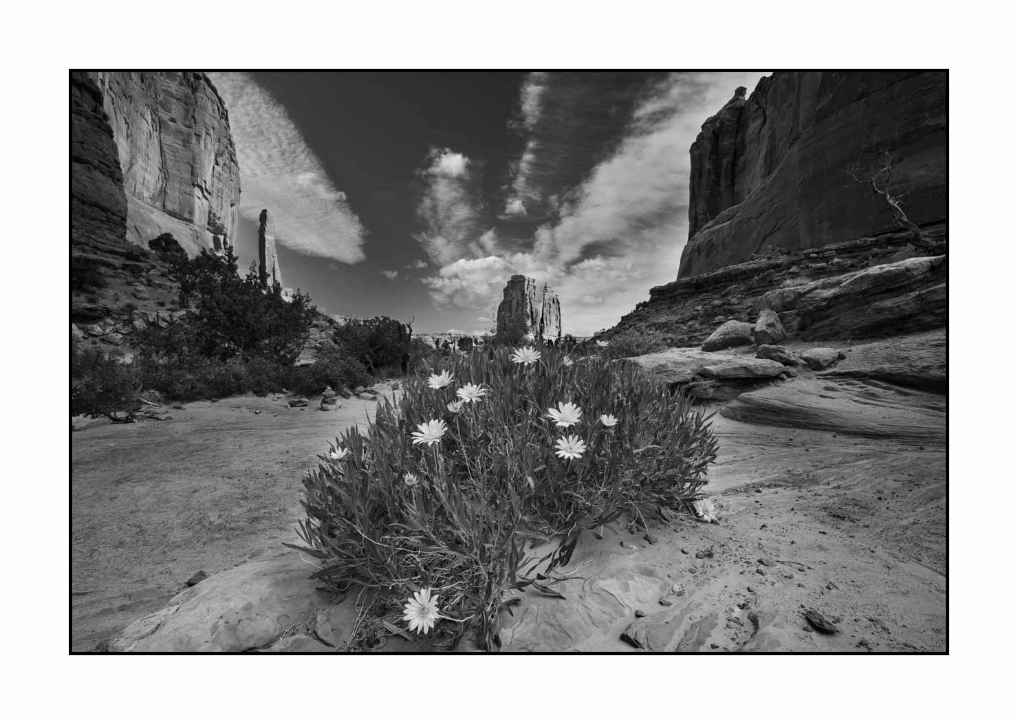 nuances-de-noirs-et-de-blancs/058-merveilles-naturelles-de-arches/fr/04-parc-national-des-arches-noir-et-blanc-190506UTAARC0133B