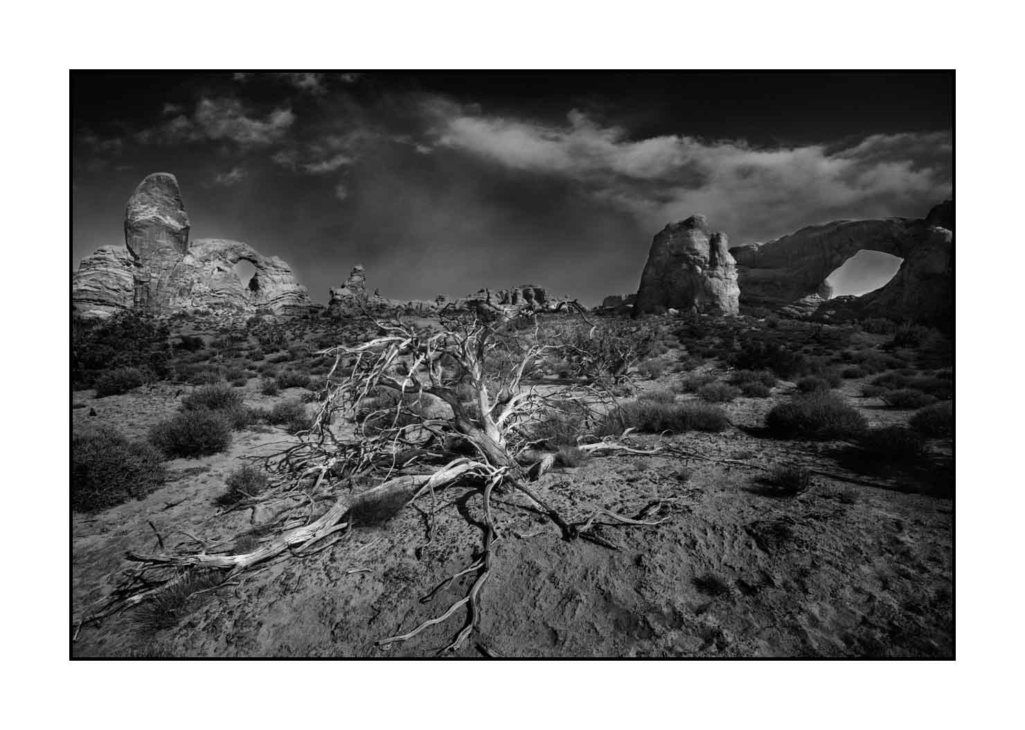 nuances-de-noirs-et-de-blancs/058-merveilles-naturelles-de-arches/fr/07-parc-national-des-arches-noir-et-blanc-180806UTAARC0086B