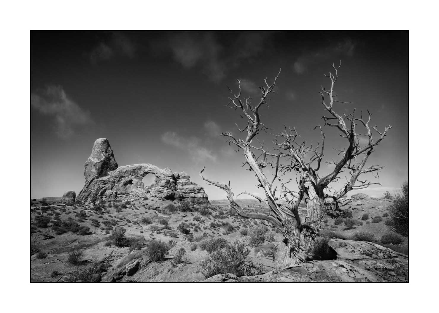 nuances-de-noirs-et-de-blancs/058-merveilles-naturelles-de-arches/fr/08-parc-national-des-arches-noir-et-blanc-190506UTAARC0010B