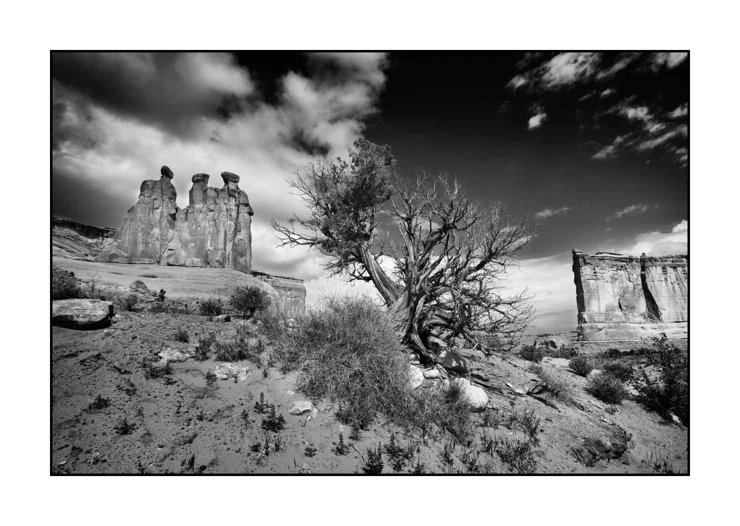nuances-de-noirs-et-de-blancs/058-merveilles-naturelles-de-arches/fr/10-parc-national-des-arches-noir-et-blanc-190506UTAARC0154B