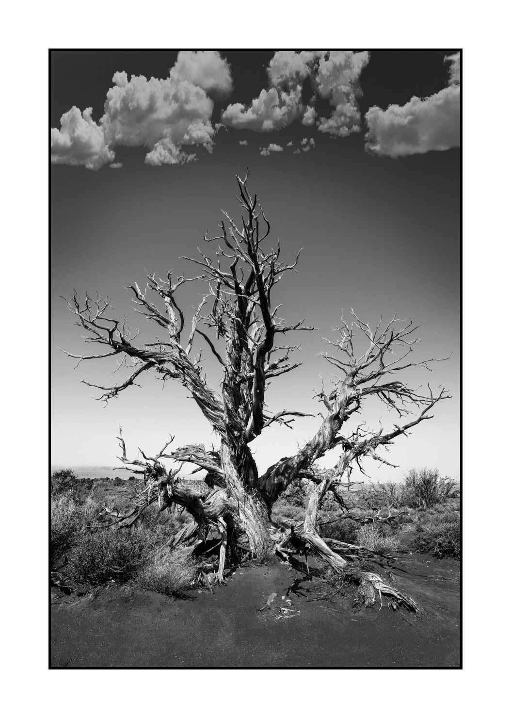 nuances-de-noirs-et-de-blancs/058-merveilles-naturelles-de-arches/fr/11-parc-national-des-arches-noir-et-blanc-180806UTAARC0102B