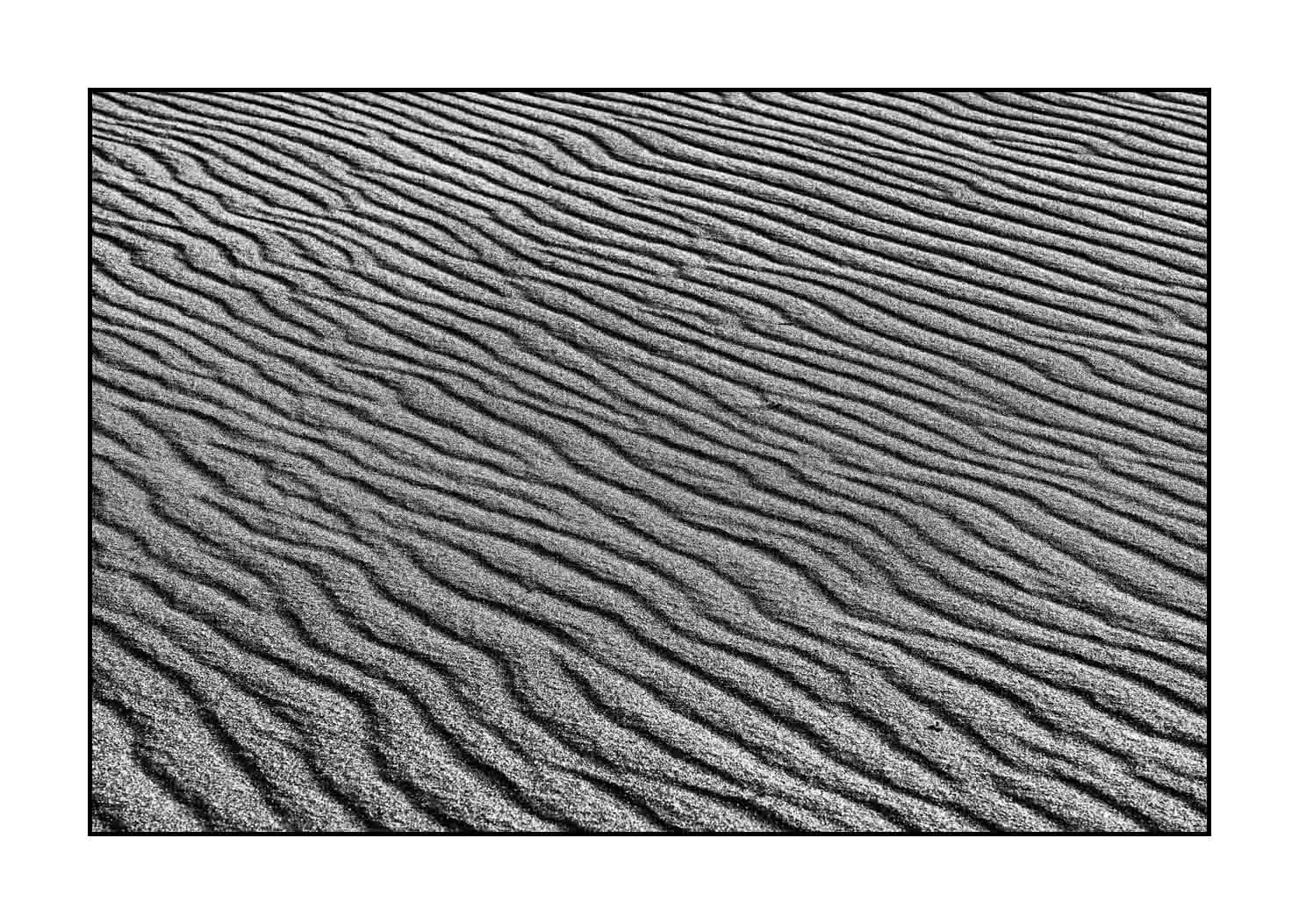 nuances-de-noirs-et-de-blancs/059-merveilles-naturelles-de-great-sand-dunes/fr/26-great-sand-dune-noir-et-blanc-200816GRSDUN0252B
