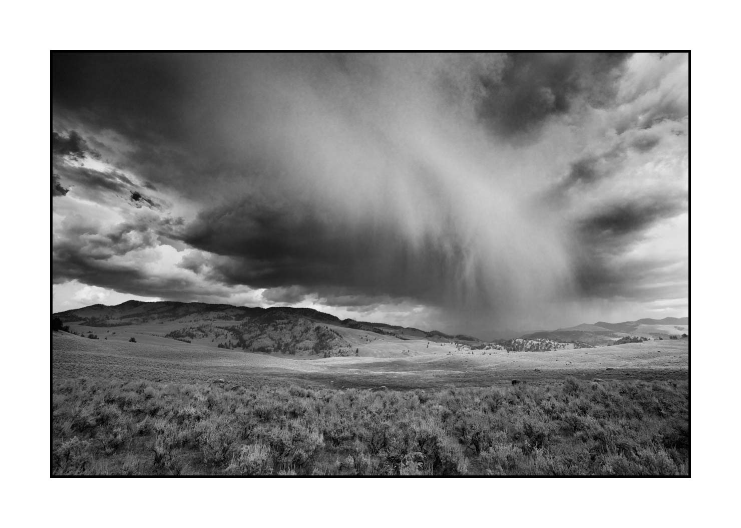 nuances-de-noirs-et-de-blancs/060-merveilles-yellowstone-en-noir-et-blanc/en/04-yellowstone-in-black-and-white-180816YELLAN0174B