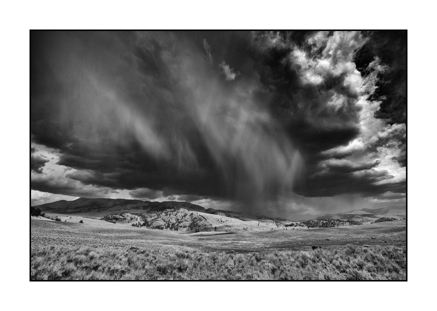 nuances-de-noirs-et-de-blancs/060-merveilles-yellowstone-en-noir-et-blanc/en/05-yellowstone-in-black-and-white-180816YELLAN0160B