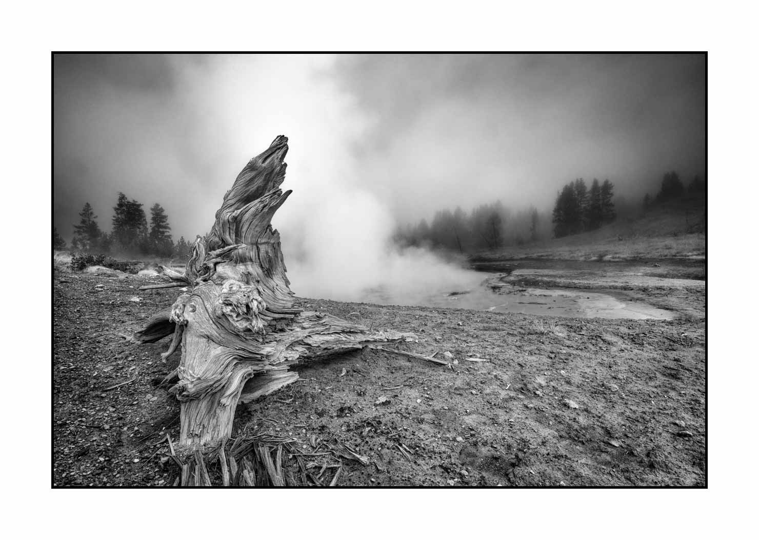 nuances-de-noirs-et-de-blancs/060-merveilles-yellowstone-en-noir-et-blanc/fr/17-le-yellowstone-en-noir-et-blanc-1879-32B